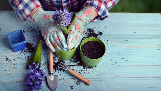 Spring Flowers For Your Garden