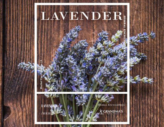 GRANDMA’S HERBAL ENCYCLOPEDIA – Lavender-Mint